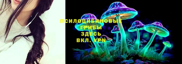 первитин Кукмор