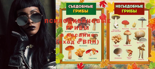 крисы Медвежьегорск